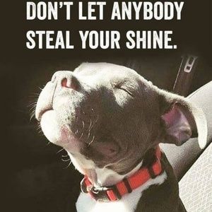 Meet your Posher, Georgette